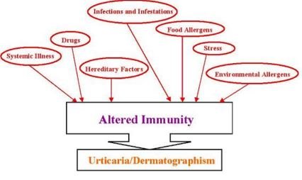 Reasons of Dermatographia