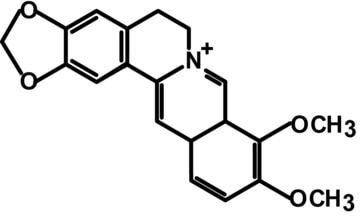 berberine compund structure and formula
